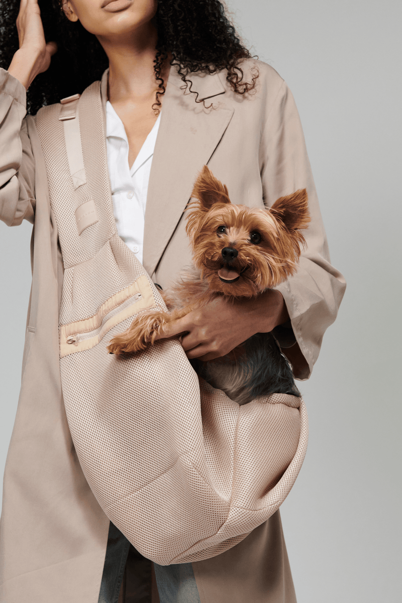 Pet Beds & Carriers
