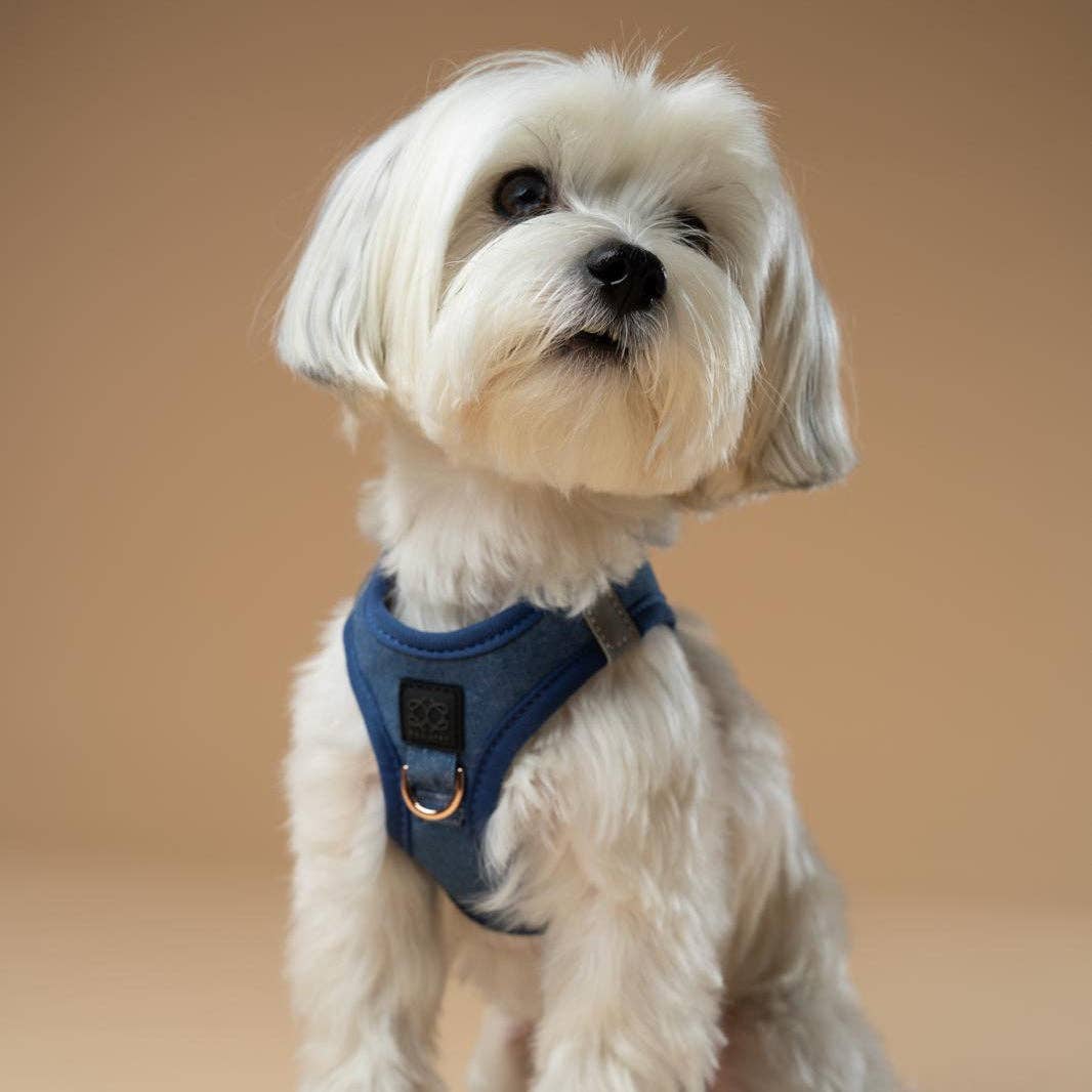 SoHo Dog Harness - Denim