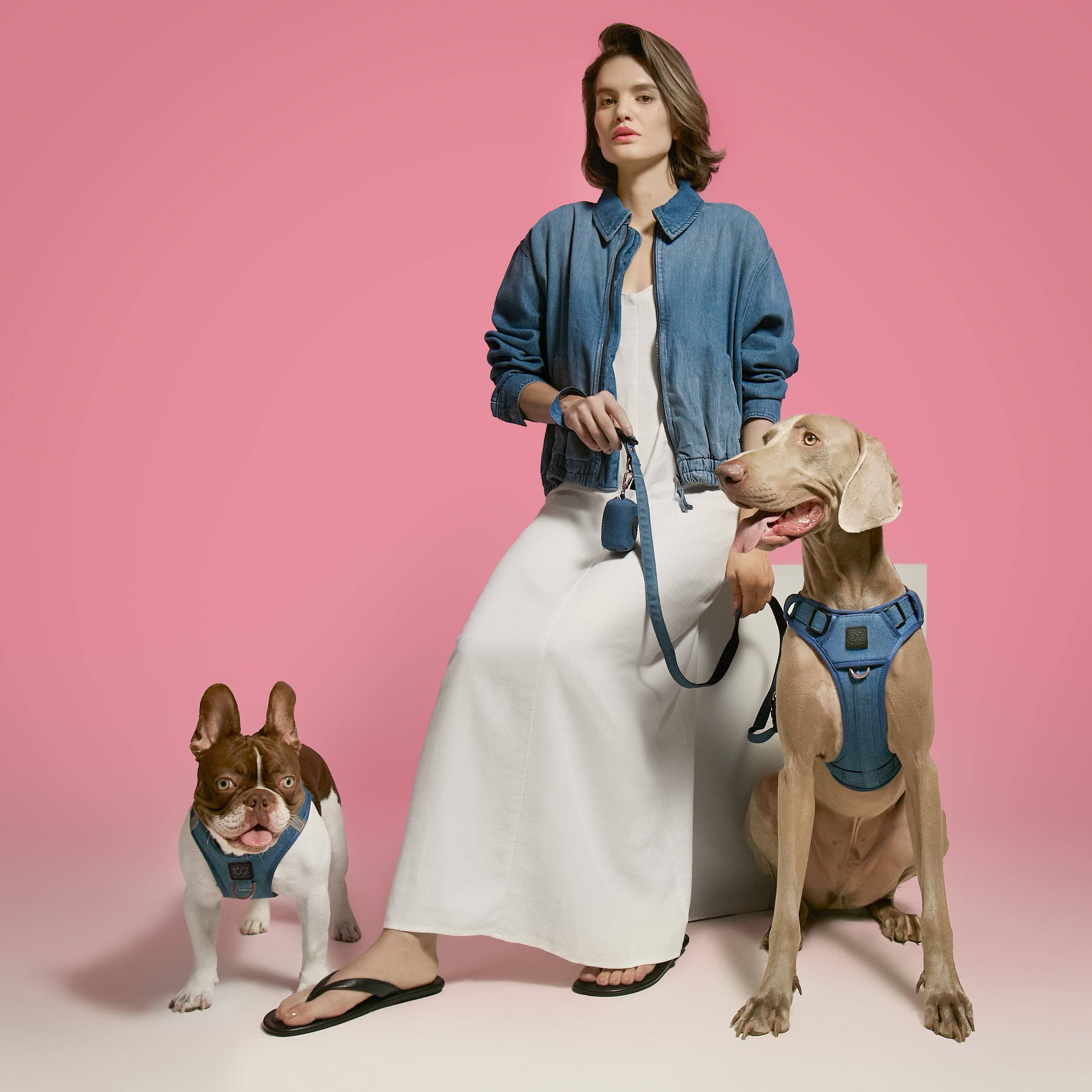 SoHo Dog Harness - Denim