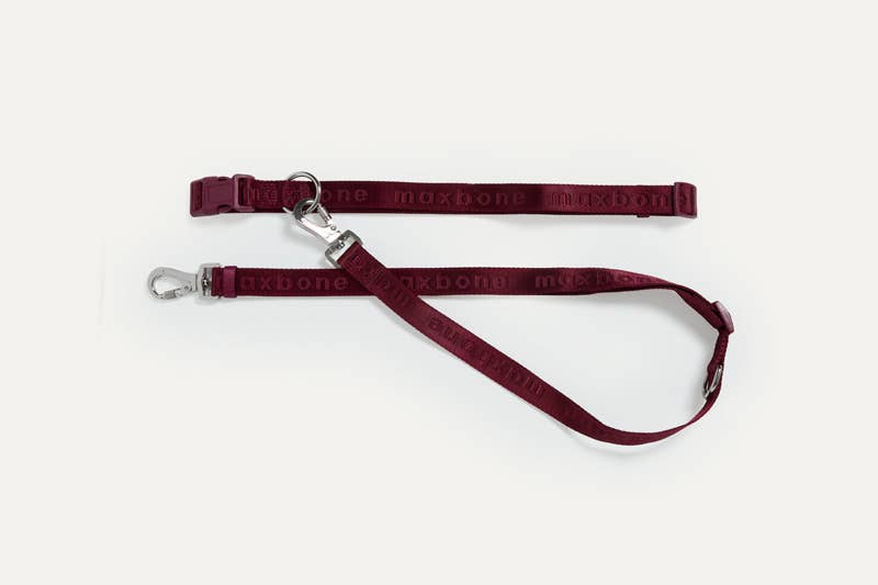 GO! With Ease Hands-Free Leash for Dogs