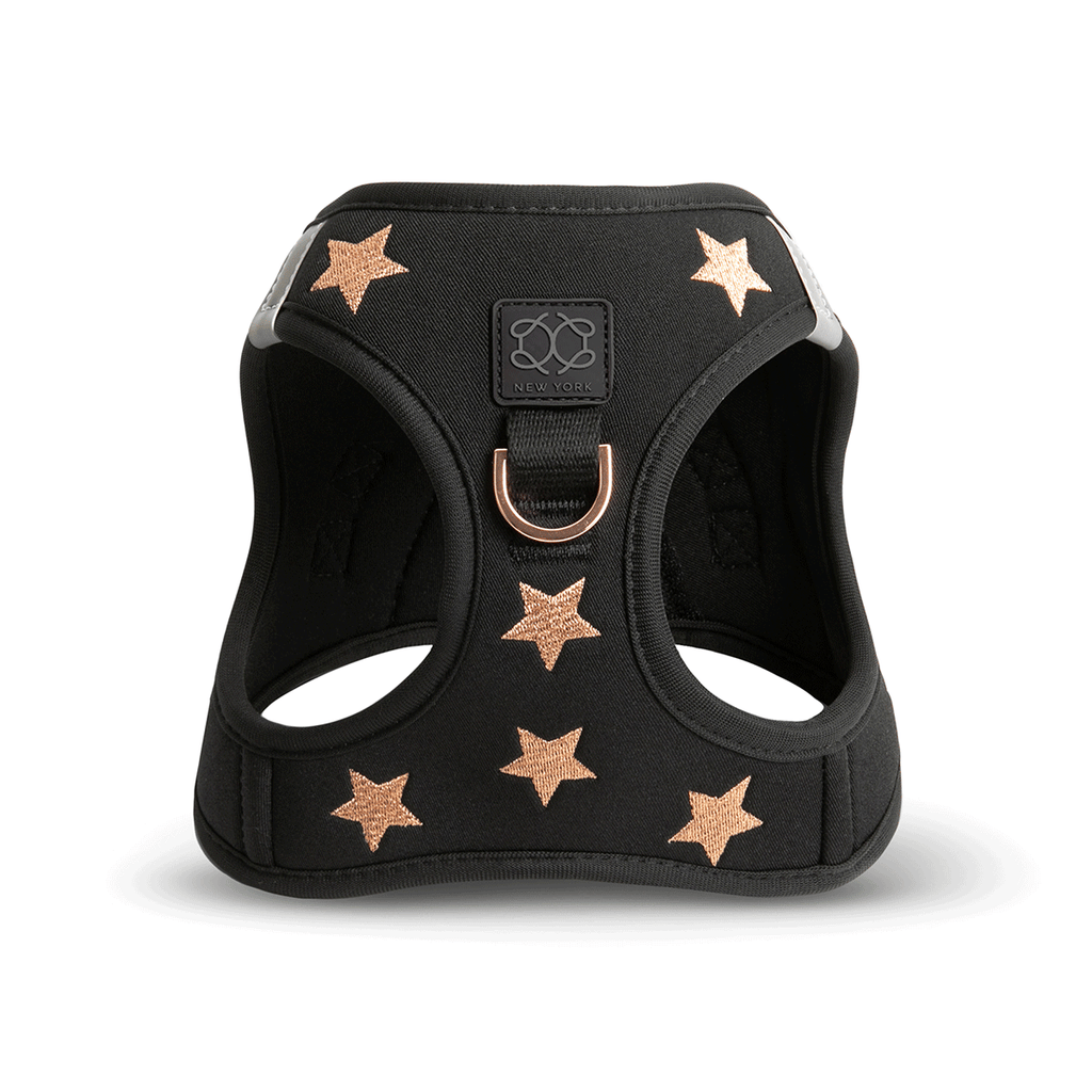 SoHo Dog Harness - Rockstar