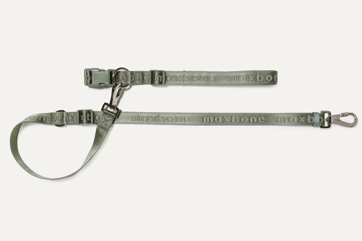 GO! With Ease Hands-Free Leash for Dogs