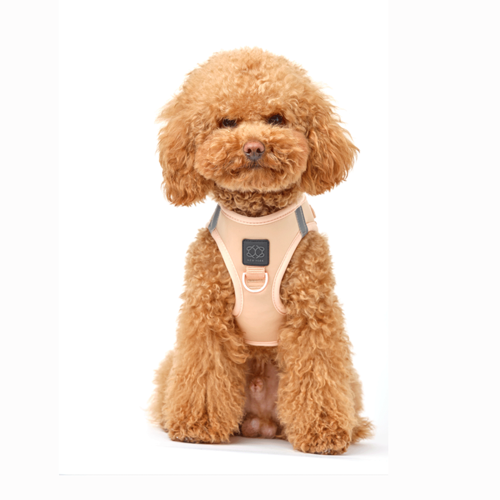 SoHo Dog Harness - Dune