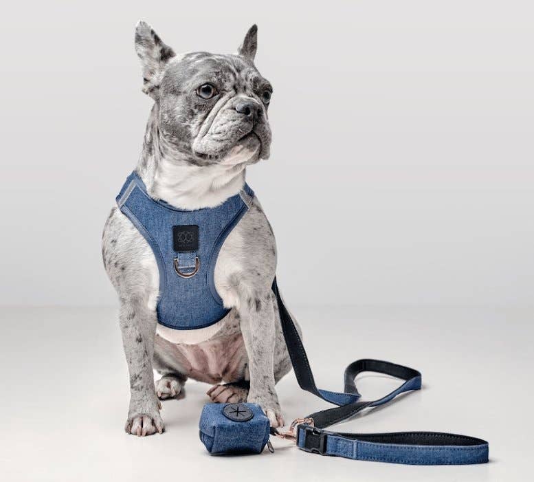 SoHo Dog Harness - Denim