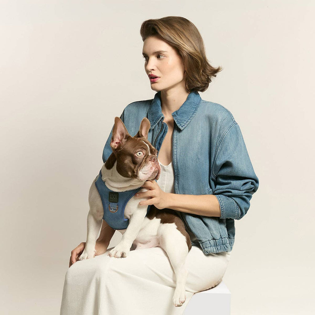 SoHo Dog Harness - Denim