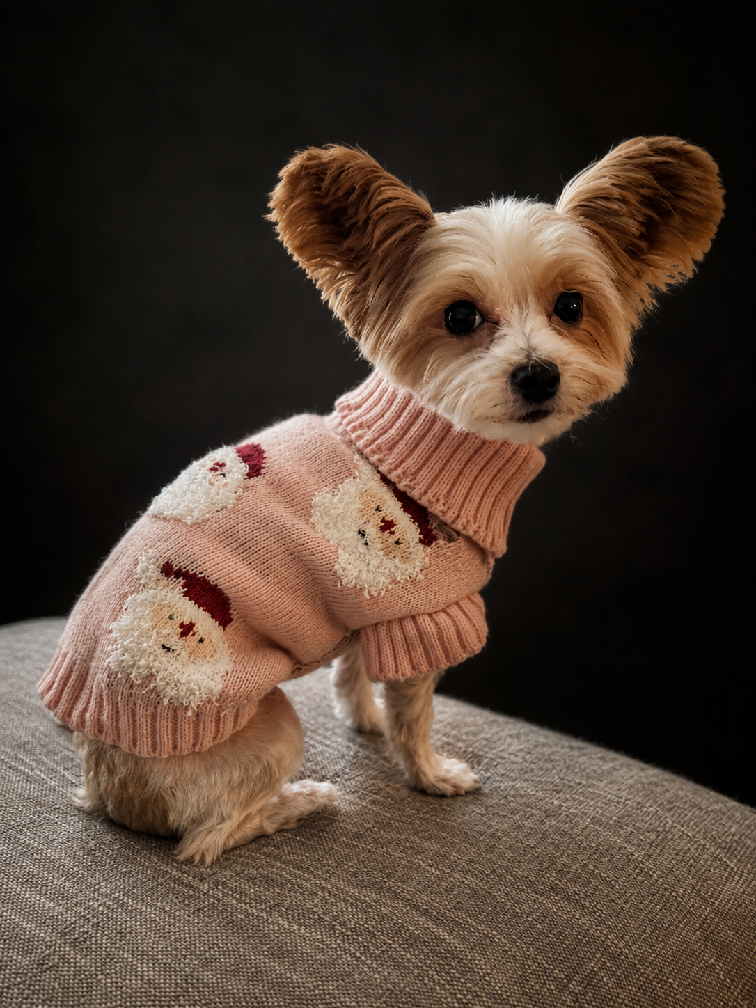 Signature Pet Portrait From Your Photo