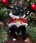 Signature Pet Portrait From Your Photo