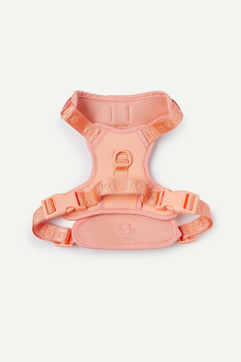 Easy Fit Dog Harness
