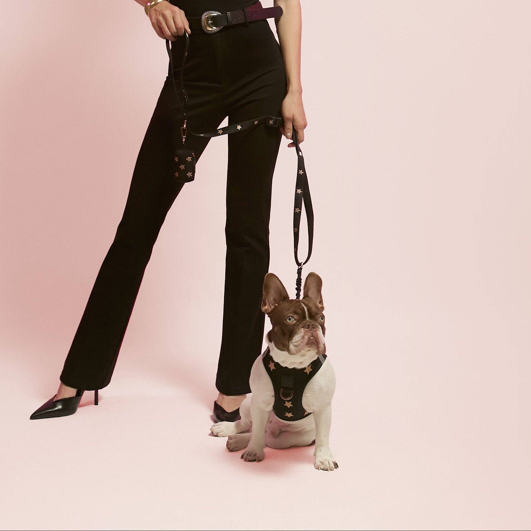 SoHo Dog Harness - Rockstar