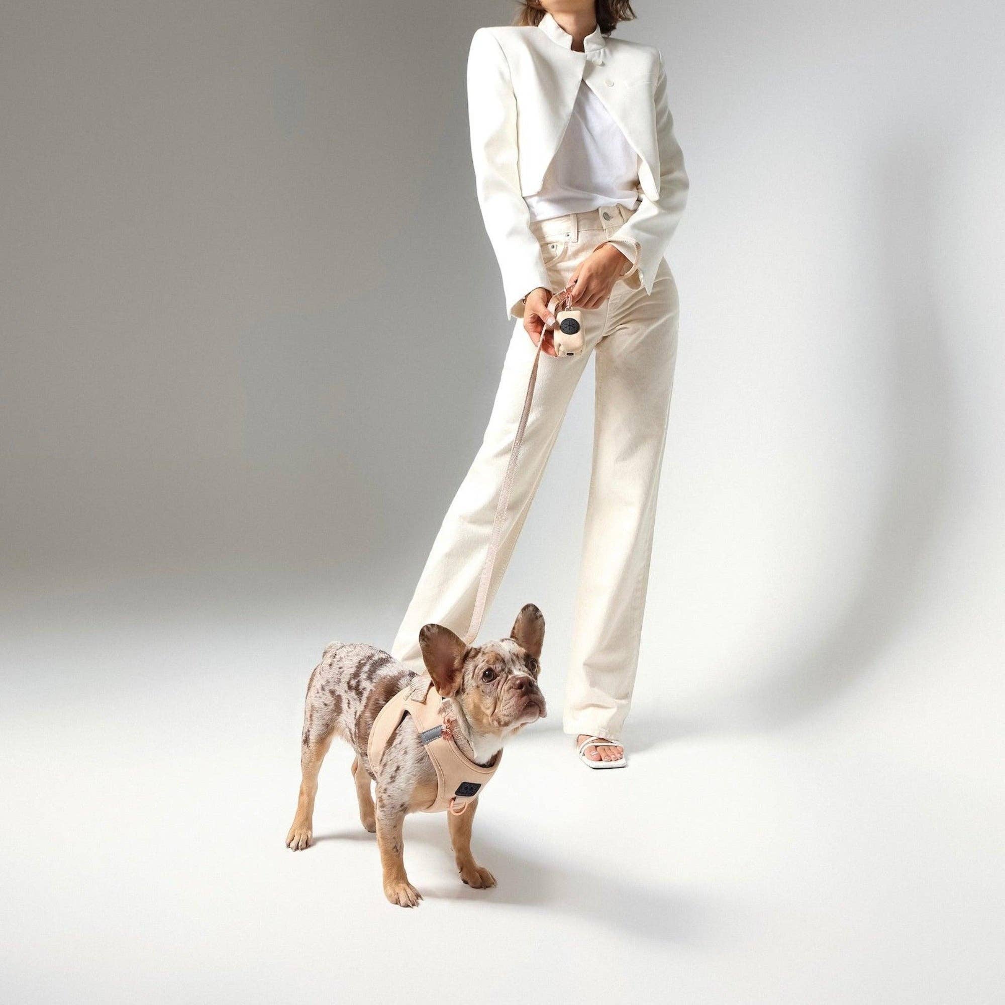 SoHo Dog Harness - Dune