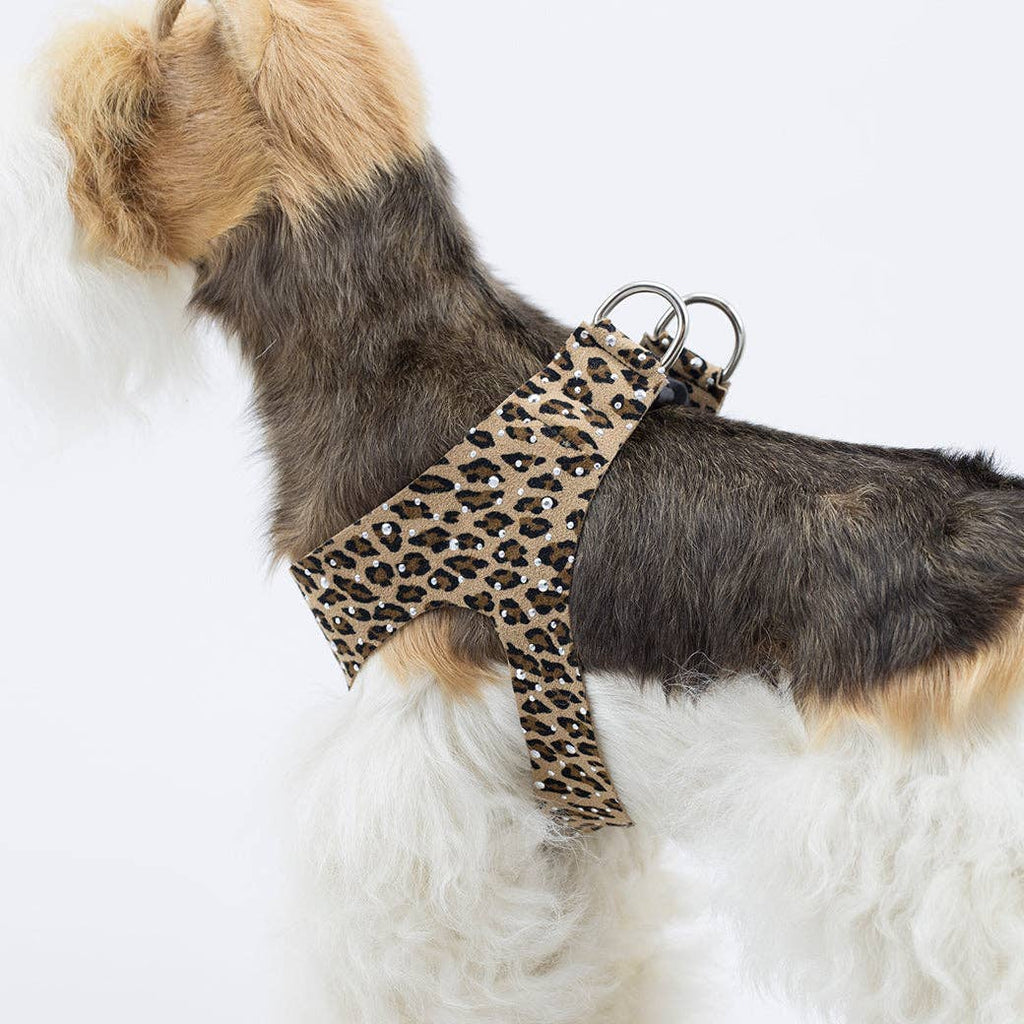 Silver Stardust Step In Harness- Jungle Prints