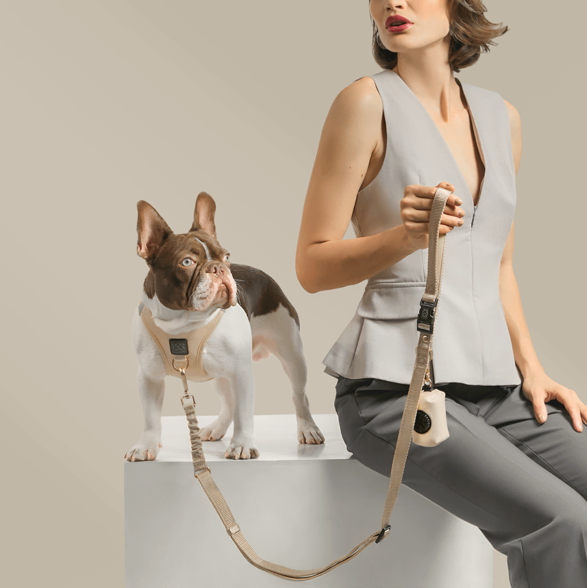 SoHo Dog Harness - Dune