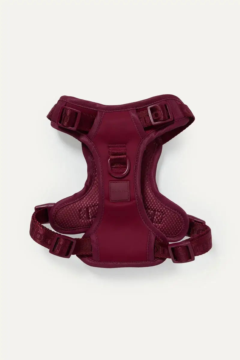 Easy Fit Dog Harness