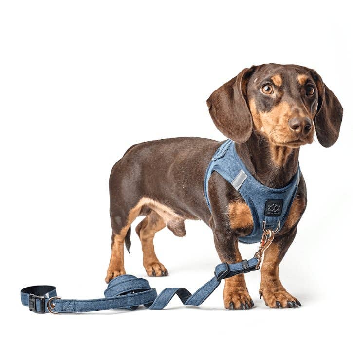 SoHo Dog Harness - Denim