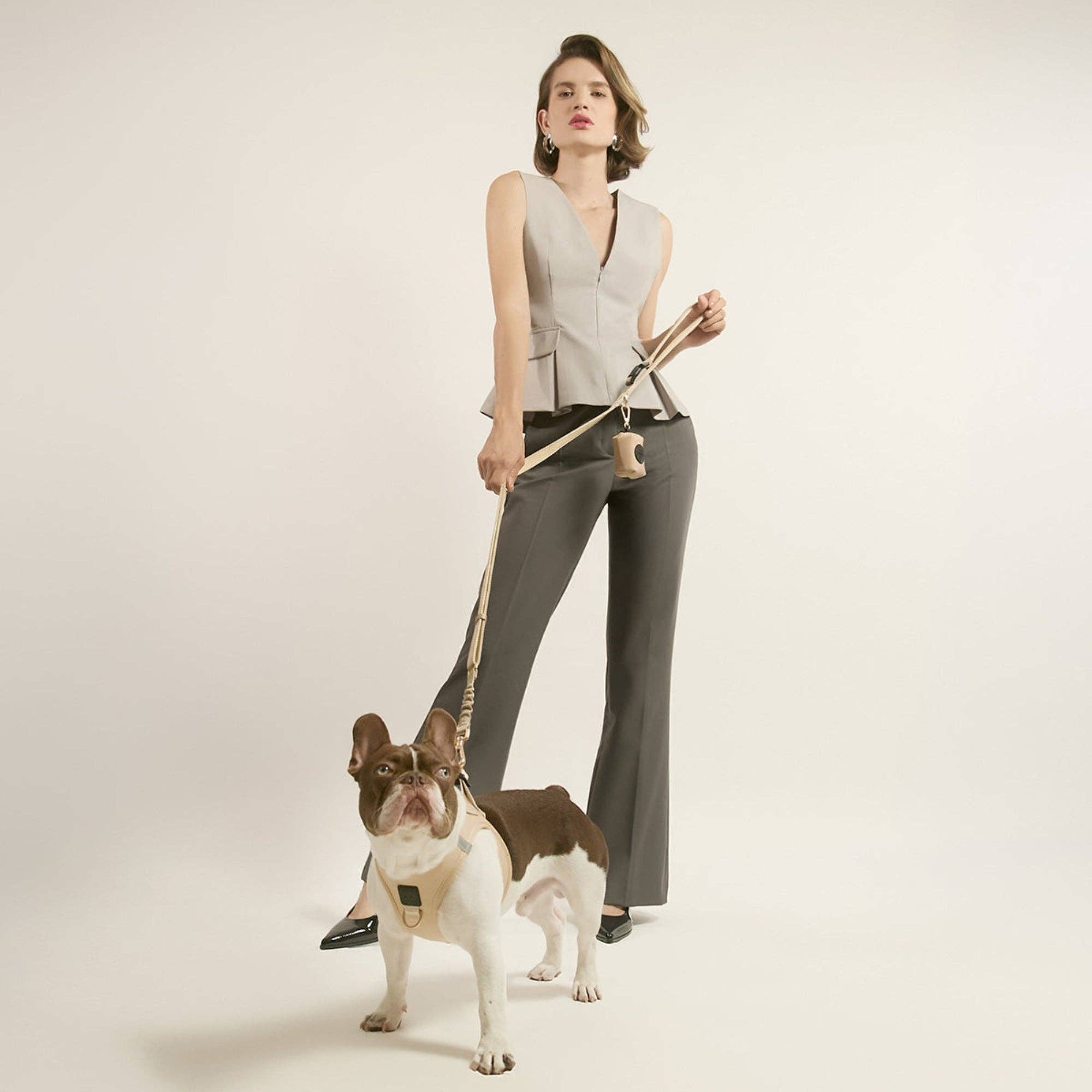 SoHo Dog Harness - Dune